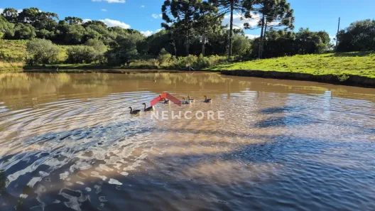 Fazenda/Sítio com 2 Quartos à venda, 188m² no Centro, São Francisco de Paula