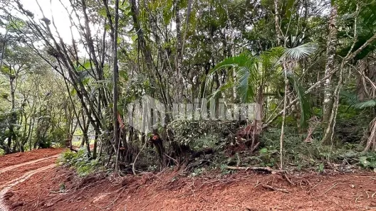 Lote/Terreno à venda, 5570m² no Planície Alta, Guabiruba