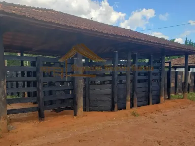 Fazenda/Sítio à venda, 1m² no , Cunha