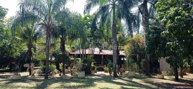 Fazenda/Sítio com 3 Quartos à venda, 150m² no Centro, São José do Rio Preto