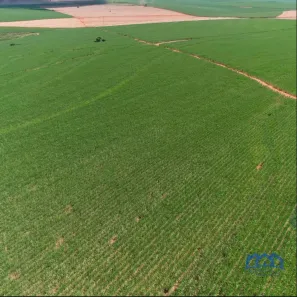 Fazenda/Sítio com 1 Quarto à venda, 9196000m² no Área Rural de Presidente Prudente, Presidente Prudente