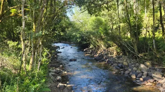 Fazenda/Sítio à venda, 320000m² no , Bocaina do Sul