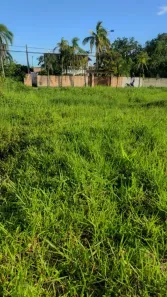 Lote/Terreno à venda, 1000m² no Umuarama, Itanhaém