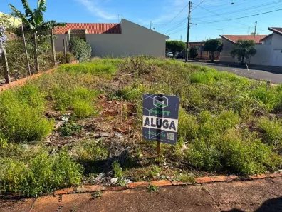 Lote/Terreno para alugar, 275m² no Jardim São Caetano, Jaú