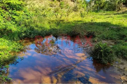 Fazenda/Sítio à venda, 295860m² no Zona Rural, Ipanema