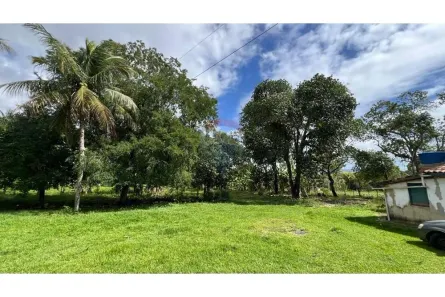 Fazenda/Sítio com 2 Quartos à venda, 6534m² no , Areia Branca