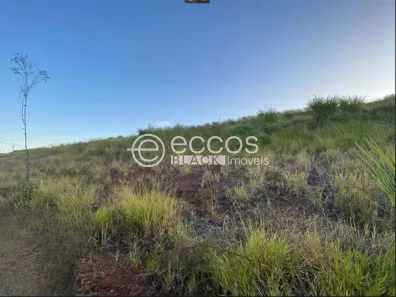 Lote/Terreno à venda, 300m² no Custódio Pereira, Uberlândia