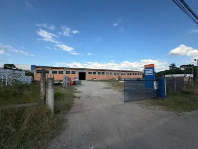 Galpão/Depósito/Armazém para alugar, 5000m² no Costeira, São José dos Pinhais
