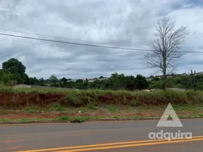 Lote/Terreno à venda, 8952m² no Cará-cará, Ponta Grossa