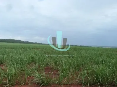Fazenda/Sítio com 1 Quarto à venda, 20m² no Rodovia Comandante João de Barro, Boa Esperança do Sul