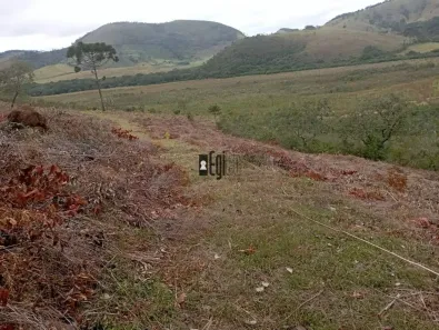 Fazenda/Sítio com 1 Quarto à venda, 966700m² no , Liberdade