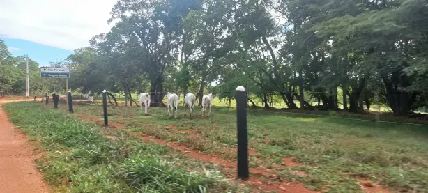 Lote/Terreno à venda, 20000m² no Zona Rural, Paraopeba