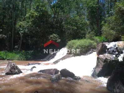 Fazenda/Sítio com 3 Quartos à venda, 16534m² no Salesópolis, Salesópolis