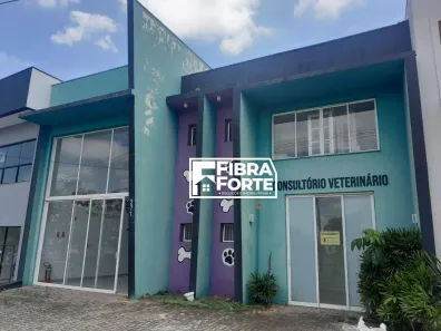 Galpão/Depósito/Armazém para alugar, 250m² no Swiss Park, Campinas