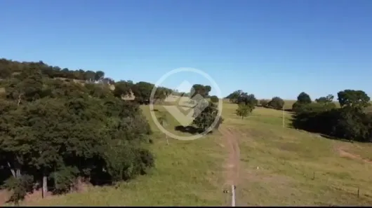 Fazenda/Sítio com 3 Quartos à venda, 120m² no , Pontalina
