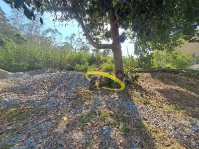 Lote/Terreno à venda, 493m² no Jardim Leonor, Cotia