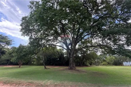 Lote/Terreno à venda, 33819m² no , Delfinópolis
