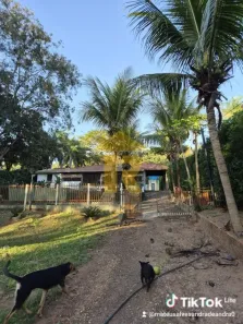 Fazenda/Sítio com 3 Quartos à venda, 200m² no ZONA RURAL, Zacarias