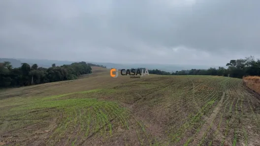 Fazenda/Sítio com 1 Quarto à venda, 100m² no Lapa, Lapa