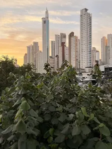 Lote/Terreno à venda, 17300m² no Barra, Balneário Camboriú