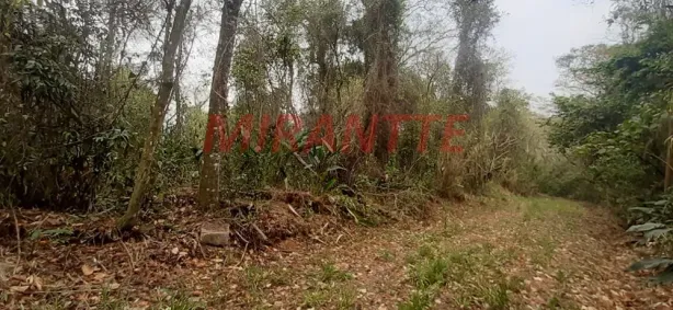 Lote/Terreno à venda, 1190m² no Caraguatá, Mairiporã