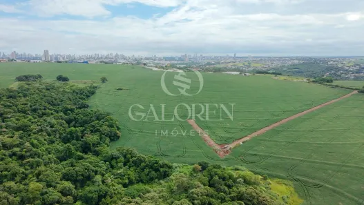 Lote/Terreno à venda, 17590m² no Jardim Alamar, Maringá