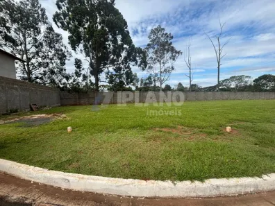 Lote/Terreno à venda, 290m² no Residencial Samambaia, São Carlos