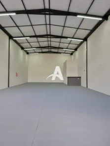 Galpão/Depósito/Armazém para alugar, 250m² no Segismundo Pereira, Uberlândia