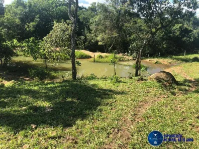 Fazenda/Sítio com 5 Quartos à venda, 52m² no Residencial Solar das Oliveiras, Senador Canedo