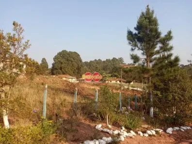 Fazenda/Sítio com 2 Quartos à venda, 3100m² no Jardim Bom Jesus, Toledo