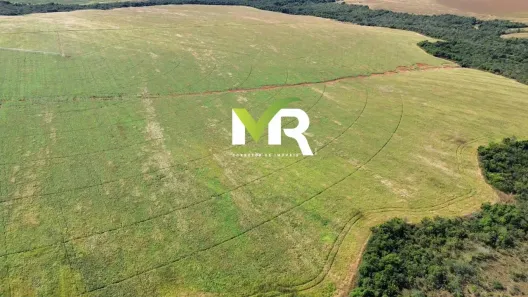 Fazenda/Sítio com 3 Quartos à venda, 7960000m² no , Ipameri