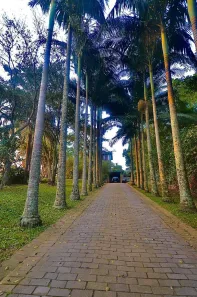 Casa de Condomínio com 4 Quartos à venda, 356m² no Condomínio Campestre Paragem dos Verdes Campos (Barro Vermelho), Gravataí
