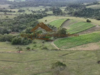 Fazenda/Sítio à venda, 411400m² no , Conchas