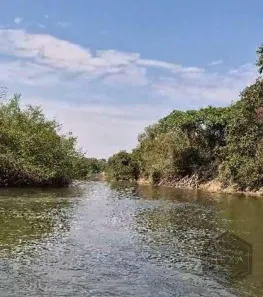 Fazenda/Sítio com 2 Quartos à venda, 110m² no Zona Rural, Mairipotaba