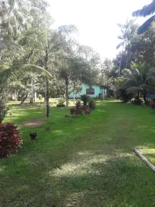 Lote/Terreno à venda, 36300m² no Jardim das Acácias, Santa Izabel do Pará