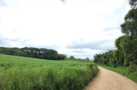 Lote/Terreno à venda, 25814m² no Colônia Murici, São José dos Pinhais