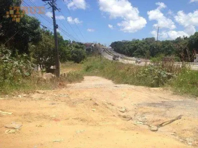 Lote/Terreno à venda, 5200m² no Conceição, Itapissuma