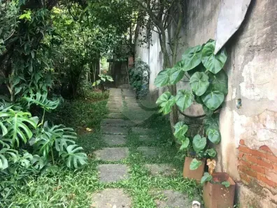 Lote/Terreno à venda, 425m² no Vila Nova Cachoeirinha, São Paulo