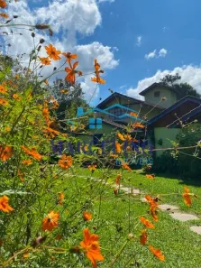 Fazenda/Sítio com 3 Quartos à venda, 500m² no Visconde de Mauá, Resende