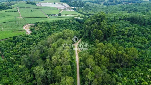 Imóvel Comercial à venda, 20139m² no , Flores da Cunha