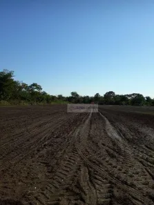Fazenda/Sítio com 4 Quartos à venda, 106000m² no Morada da Serra, Cuiabá