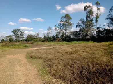 Fazenda/Sítio com 1 Quarto à venda, 50m² no Centro, Caçapava