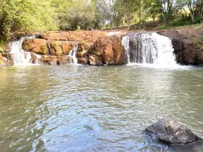 Fazenda/Sítio à venda, 242000m² no Área Rural de Arapongas, Arapongas