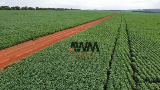 Fazenda/Sítio à venda, 7066400m² no Centro, Paraíso do Tocantins