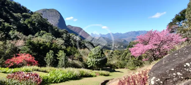 Casa de Condomínio com 3 Quartos à venda, 8000m² no Araras, Petrópolis