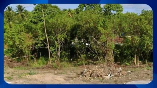 Fazenda/Sítio com 1 Quarto à venda, 10m² no Centro, Igarassu