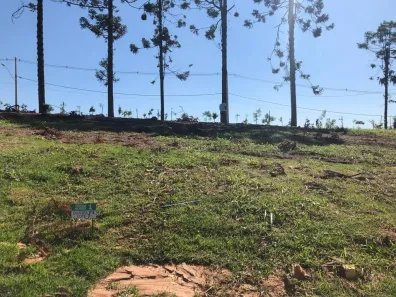 Lote/Terreno à venda, 125m² no Sítio Boa Vista, Cotia