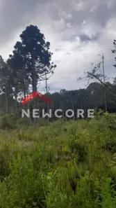 Lote/Terreno com 1 Quarto à venda, 210000m² no Centro, São Francisco de Paula