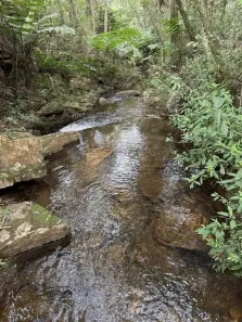 Lote/Terreno à venda, 65000m² no , Carrancas