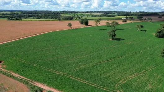 Fazenda/Sítio com 5 Quartos à venda, 8m² no , Bela Vista de Goiás
